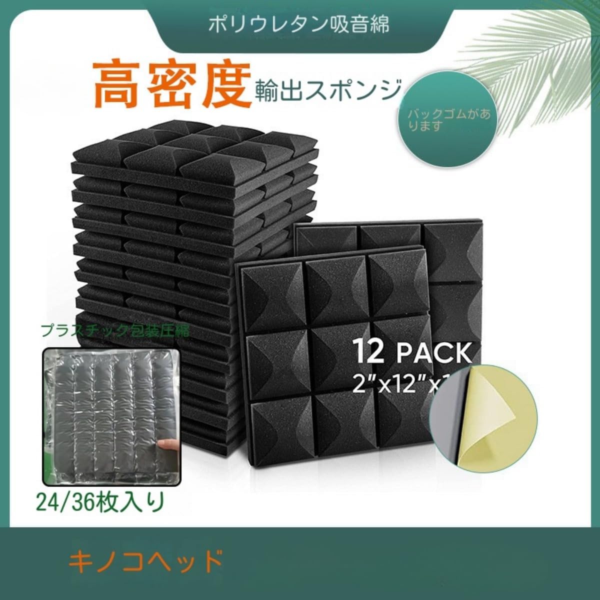 貝殻 標本 ナミジワターバン ナミマガシワ | 軟体 | 市場魚貝類図鑑